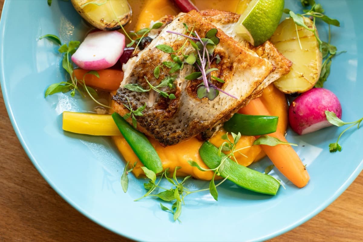 A colourful balanced plate of fish and fresh vegetables